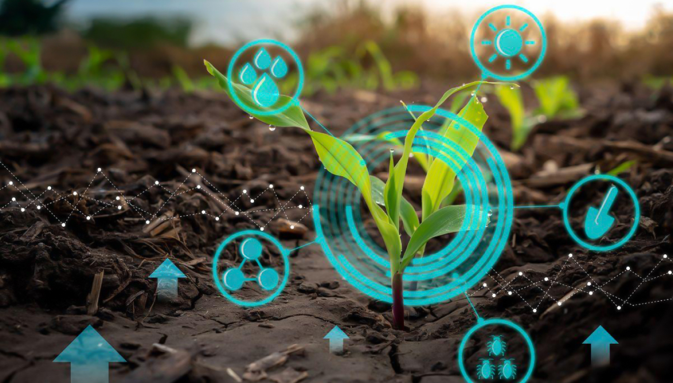 Campaña Agrícola 2025-2026: expectativas de crecimiento en la siembra nacional