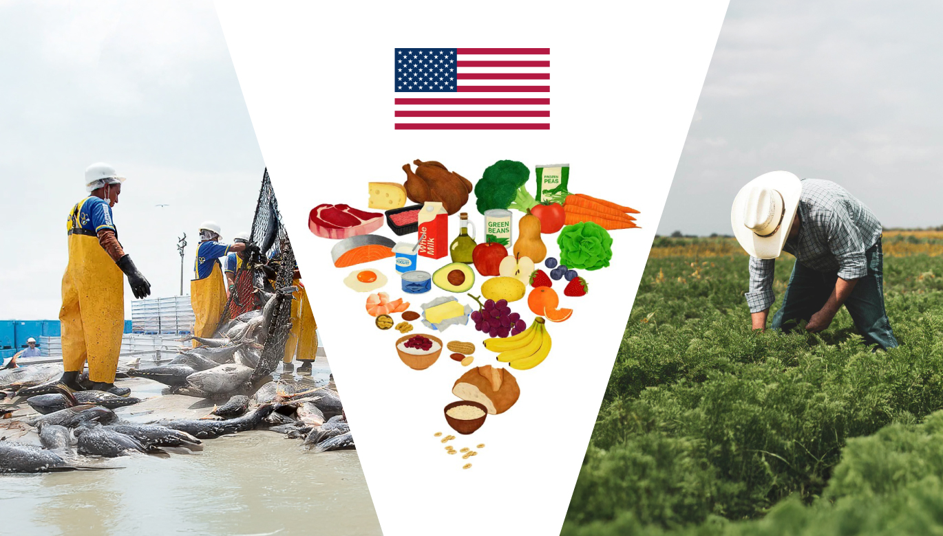 Nueva pirámide alimentaria de EE. UU. y oportunidades para las exportaciones peruanas