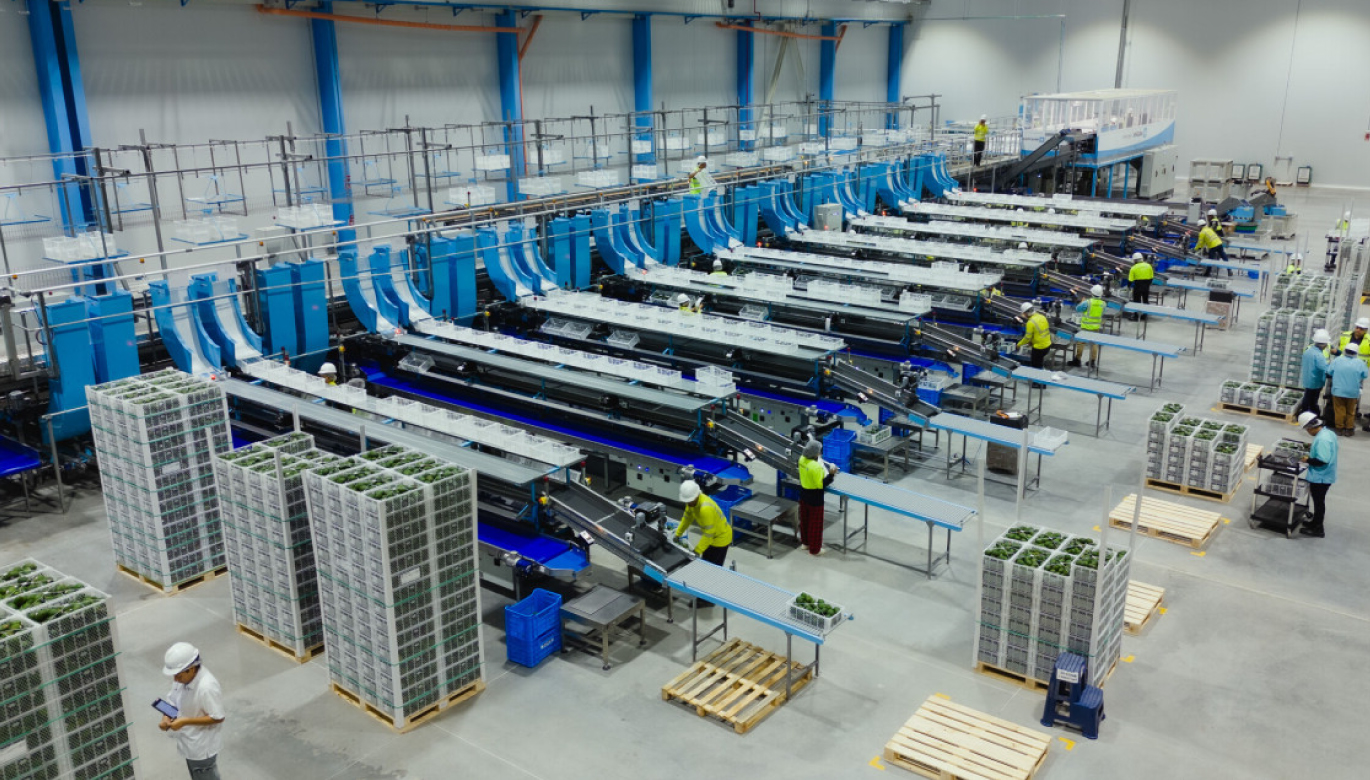 Exportaciones tradicionales: oportunidad en vez de falta de desarrollo