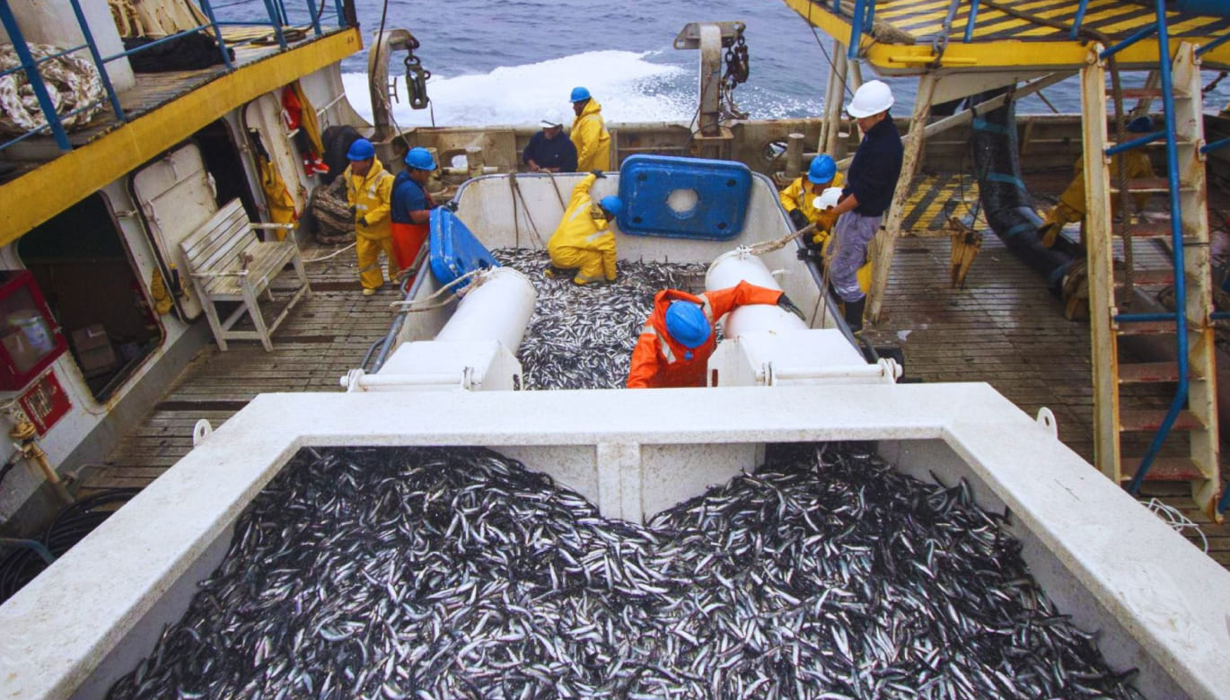 La anchoveta peruana y el equilibrio entre sostenibilidad y desarrollo