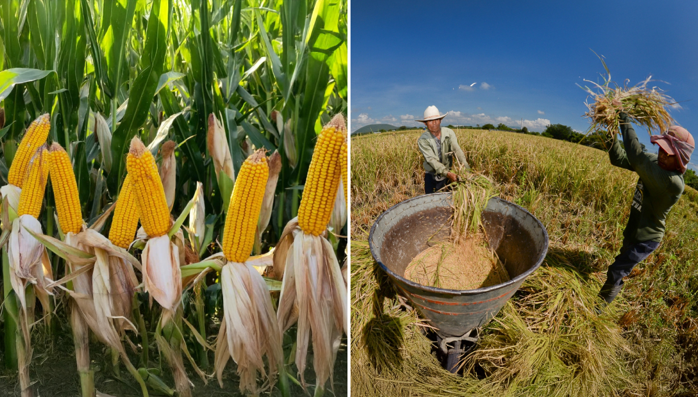 El agro resiste, pero no alcanza
