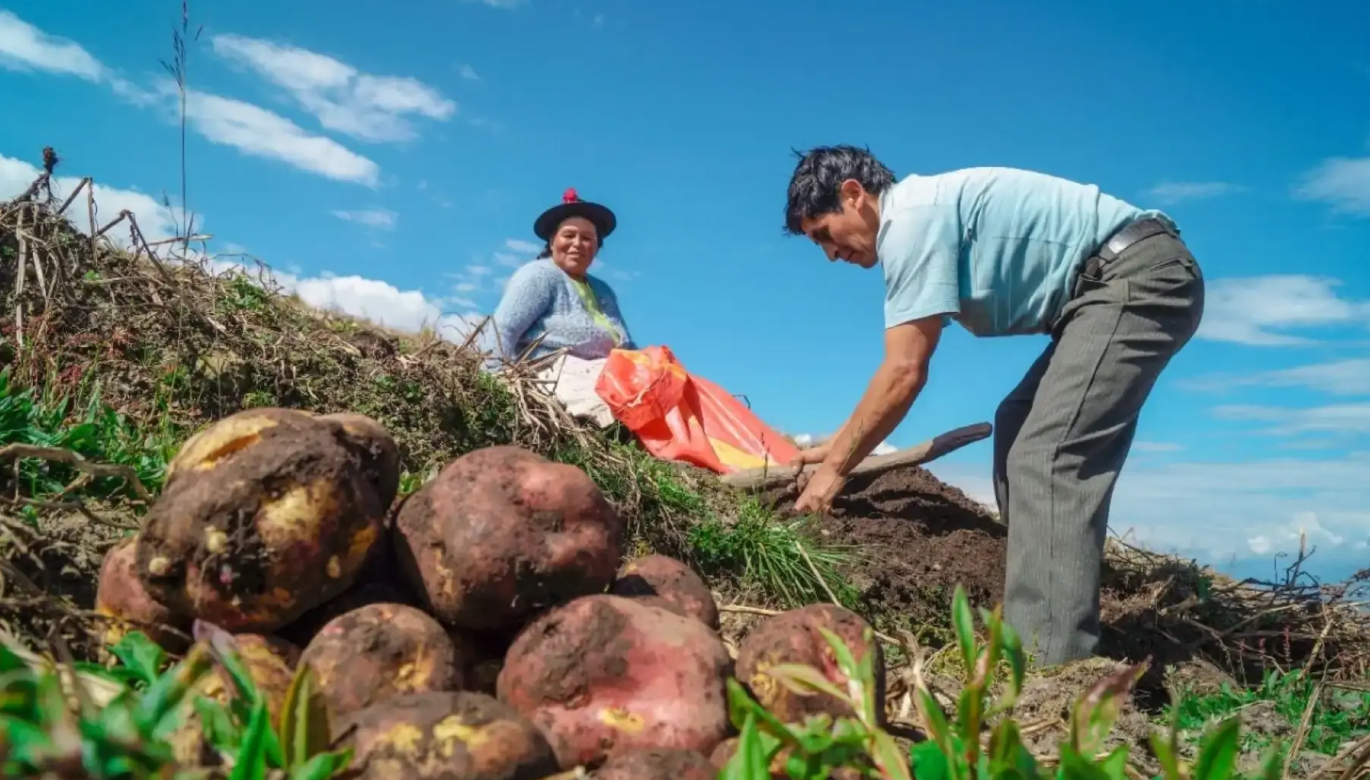 La agenda pendiente del sector agropecuario
