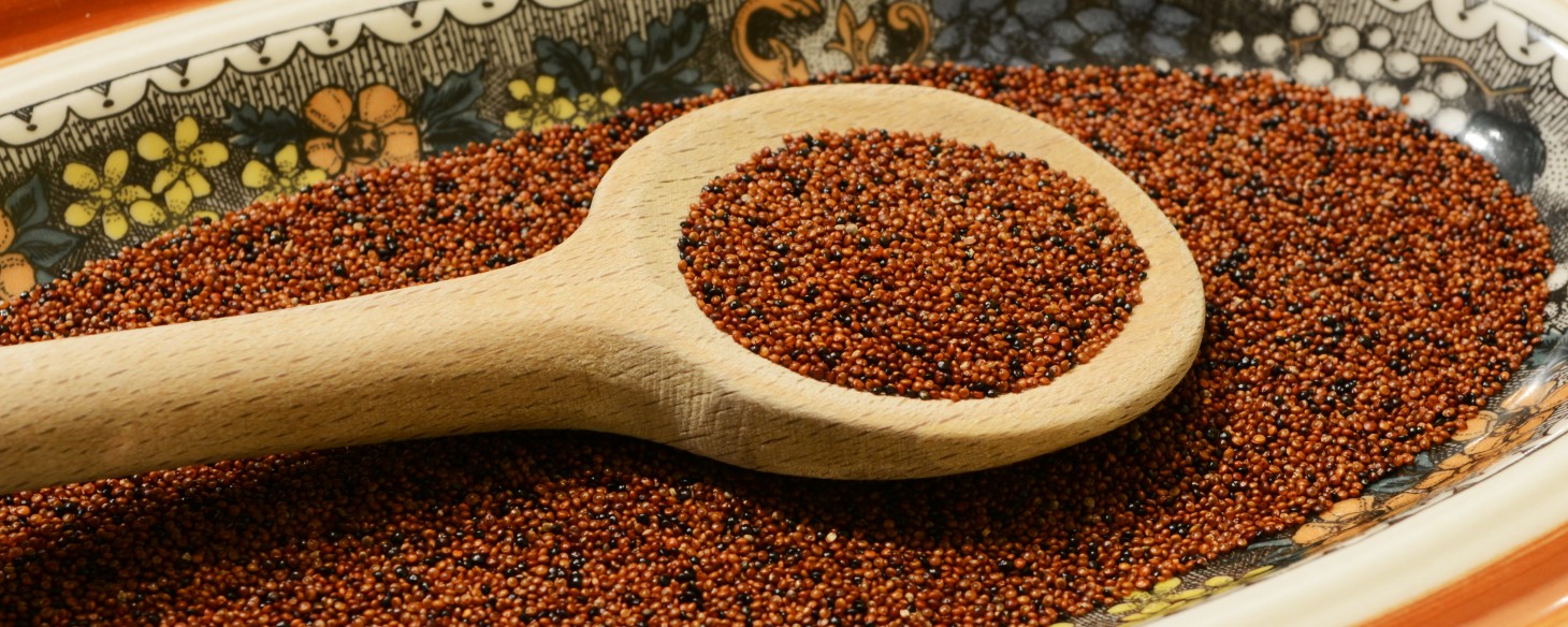 La cañihua, una estrella que no puede brillar