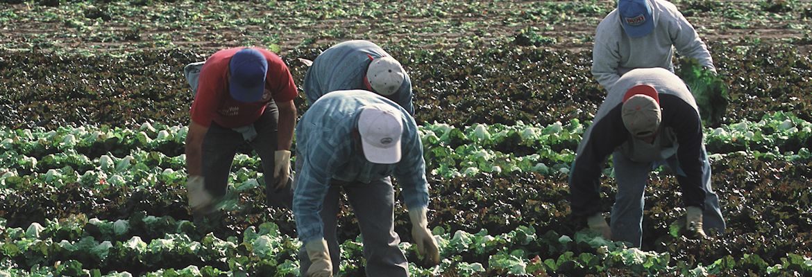 … la ley permite la contratación laboral temporal?