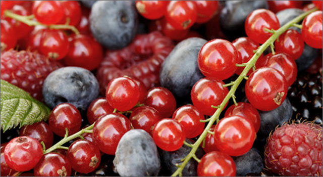 Productos peruanos al mundo