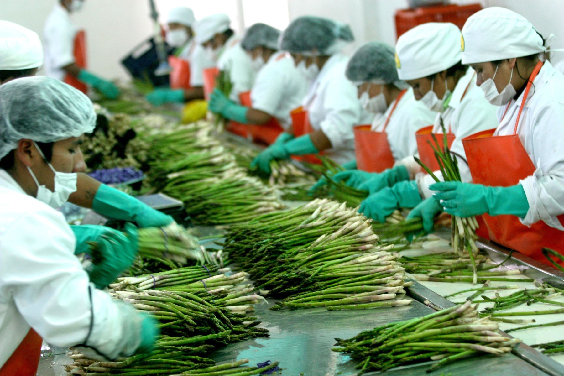 Impacto de los regímenes laborales especiales