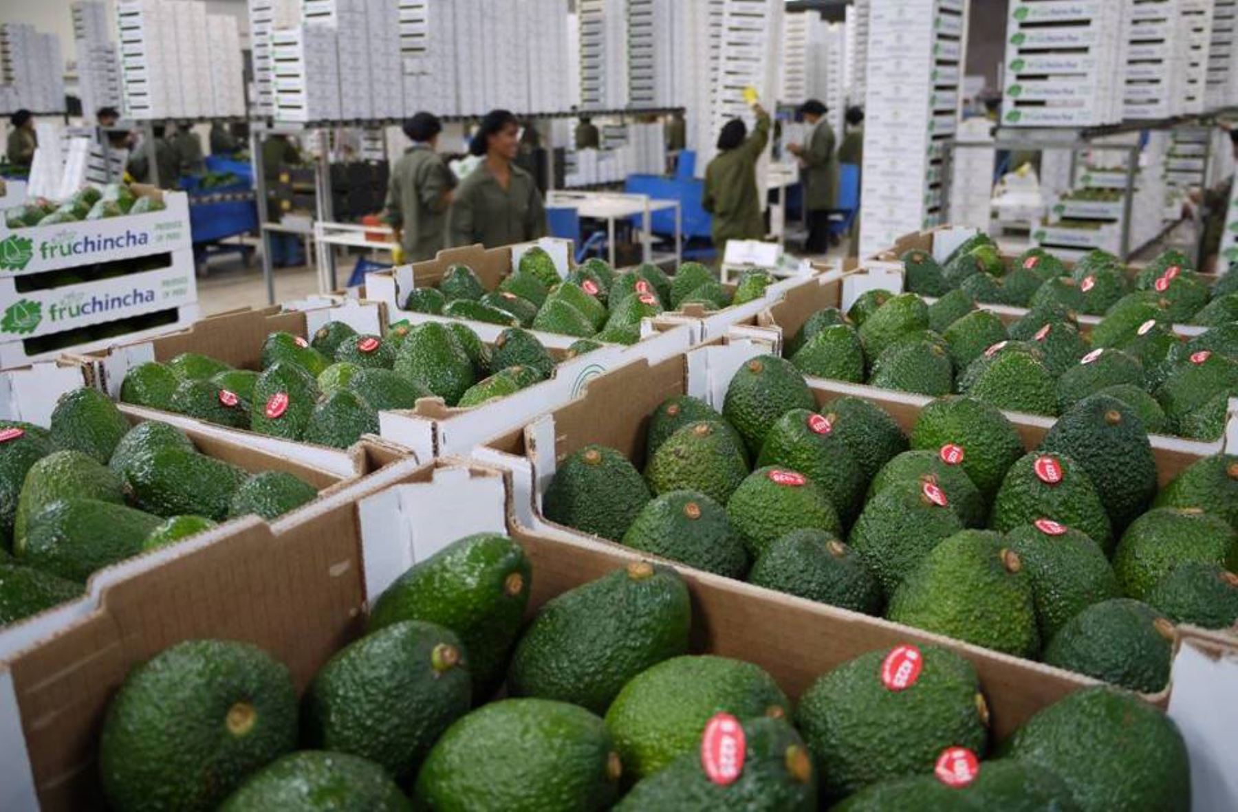 Si así estás de verde…