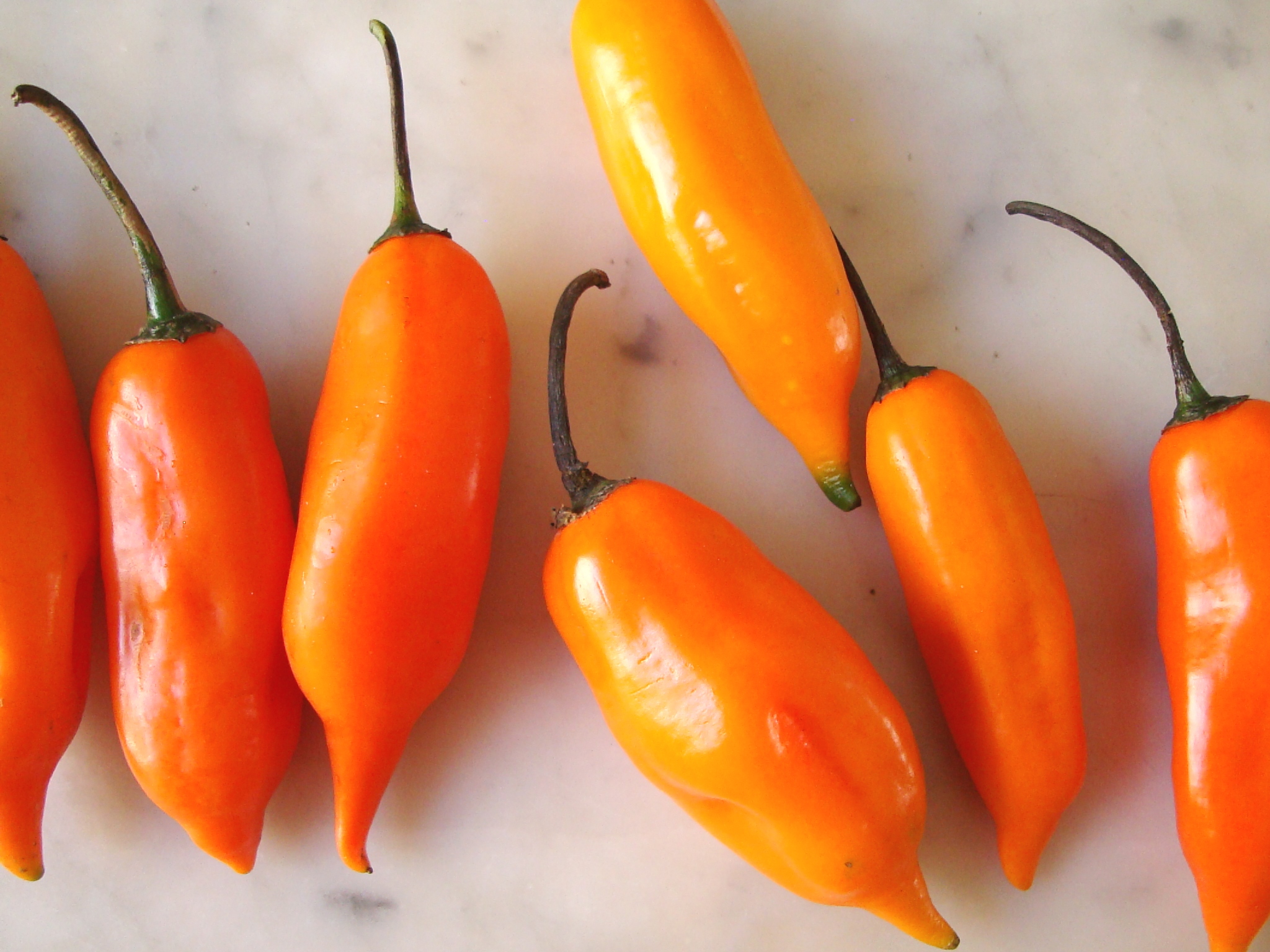 El ají amarillo se abre paso en las mesas del mundo