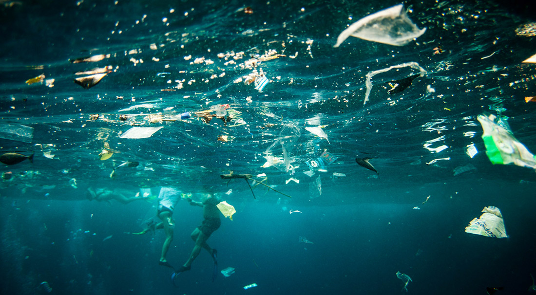 REGULANDO EL USO DE BOLSAS PLÁSTICAS