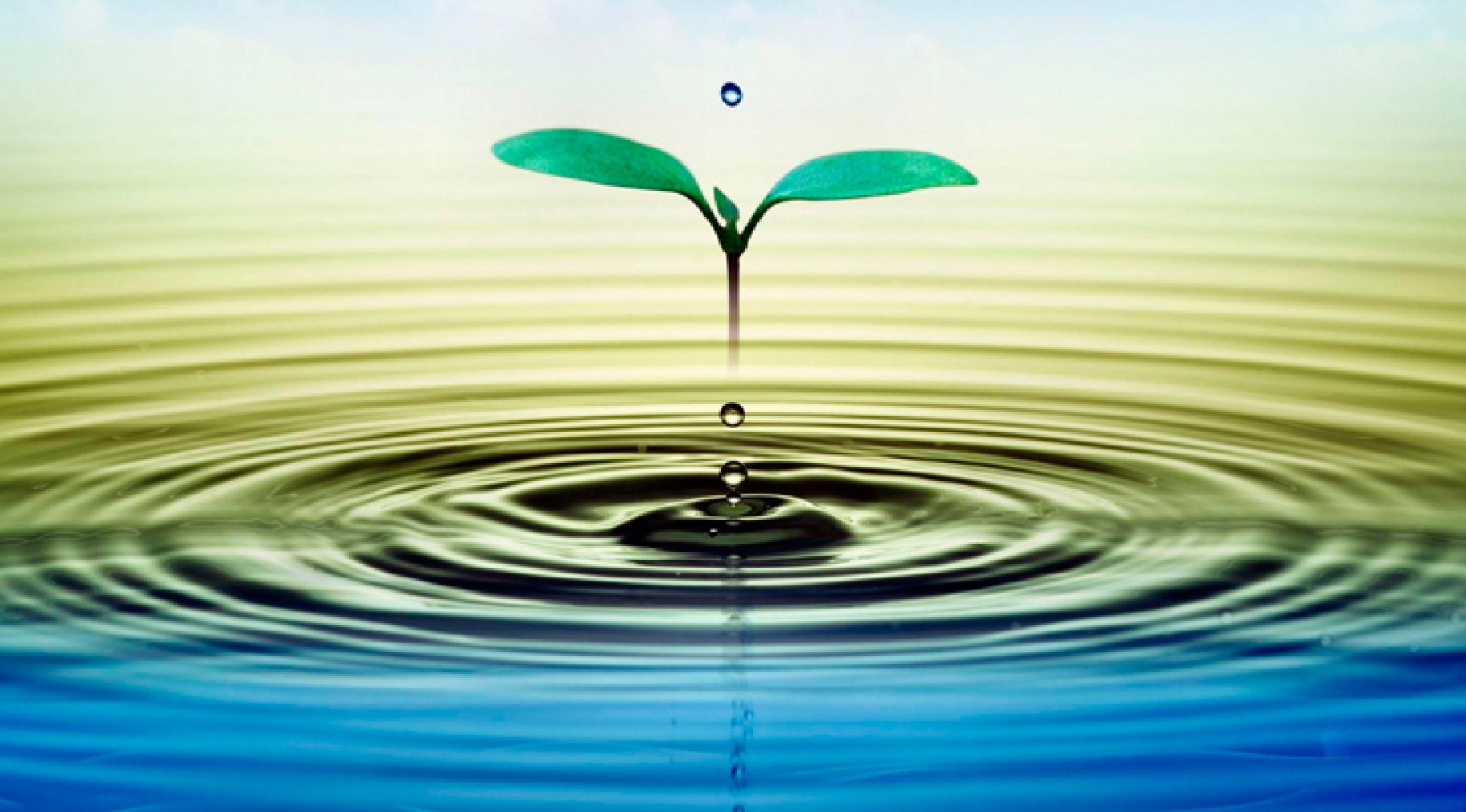 Agua: Optimizando su uso