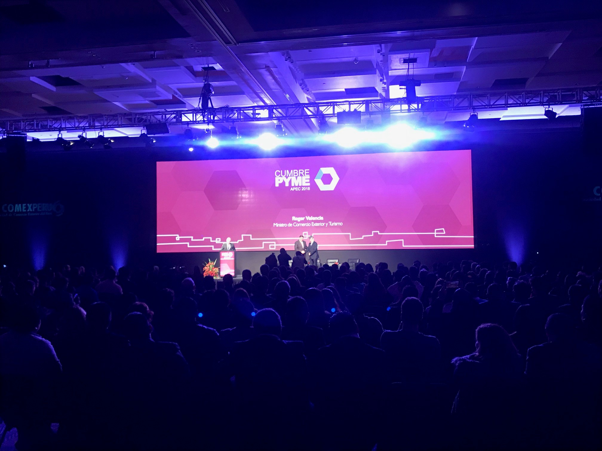 ¡EXITOSA CUMBRE PYME DEL APEC 2018!