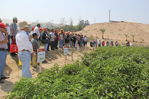 PRINCIPALES PREOCUPACIONES DE LOS AGROEXPORTADORES