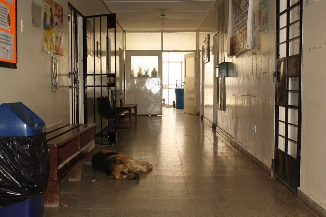 ATENCIÓN DE PRIMER NIVEL EN SALUD: UN PACIENTE EN SALA DE EMERGENCIA