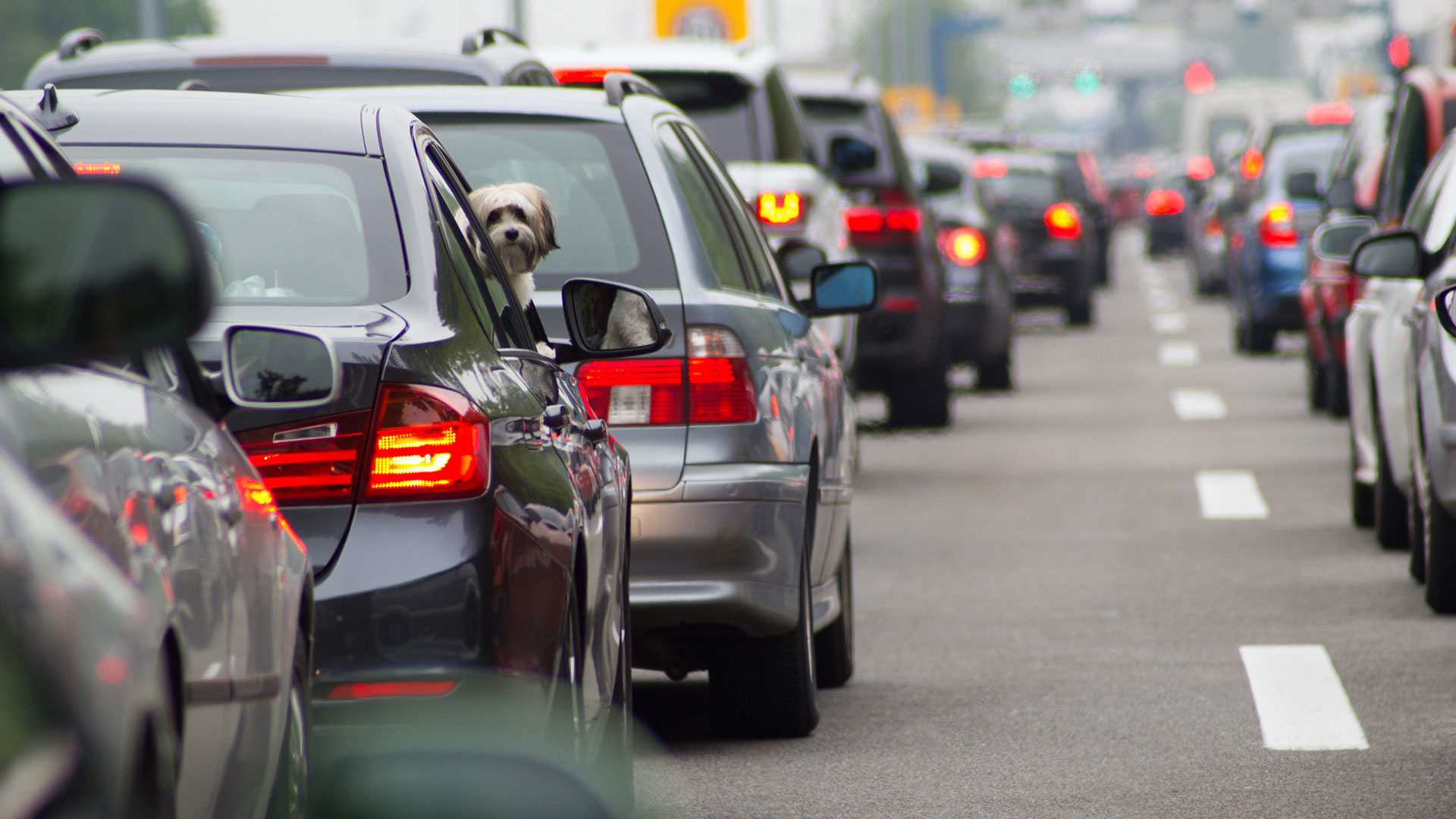 IMPORTACIONES DE VEHÍCULOS EN EL PERIODO ENERO-AGOSTO 2019