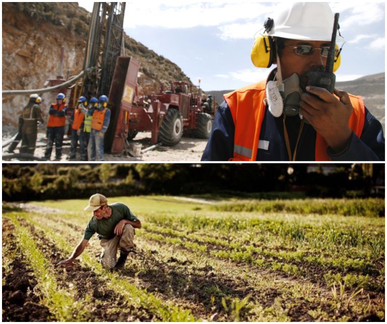 PRODUCCIÓN NACIONAL: UN SALTO A DESTIEMPO