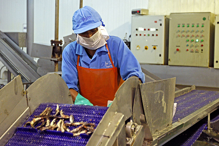 REACTIVA PERÚ: DESEMPEÑO DE SU PRIMERA FASE