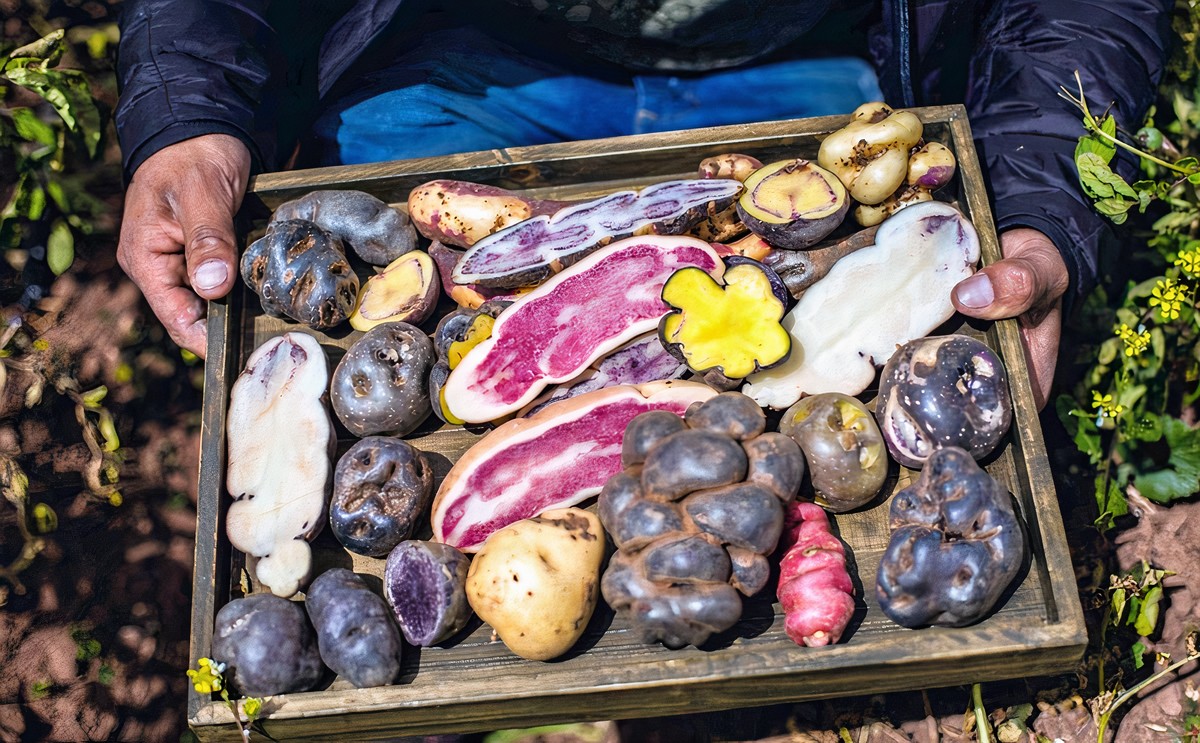LA AGRICULTURA EN UN PAÍS BIODIVERSO