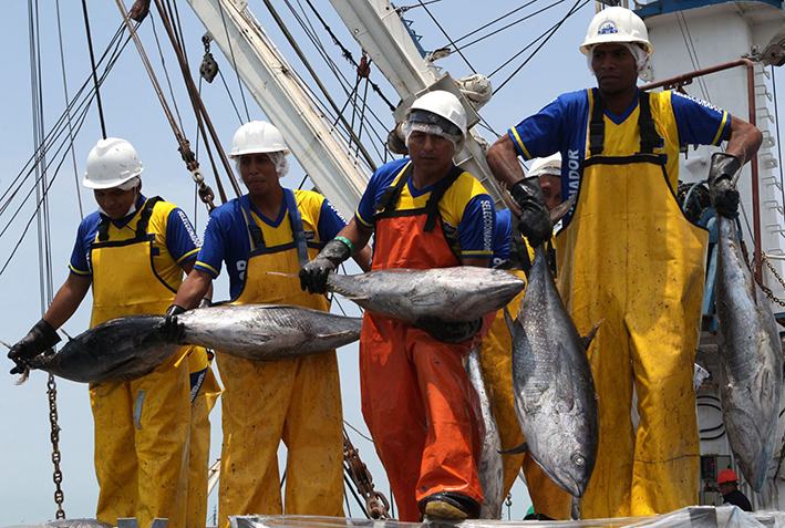 EXPORTACIONES PESQUERAS CAEN UN 22.4% EN EL PERÍODO ENERO-SETIEMBRE DE 2020
