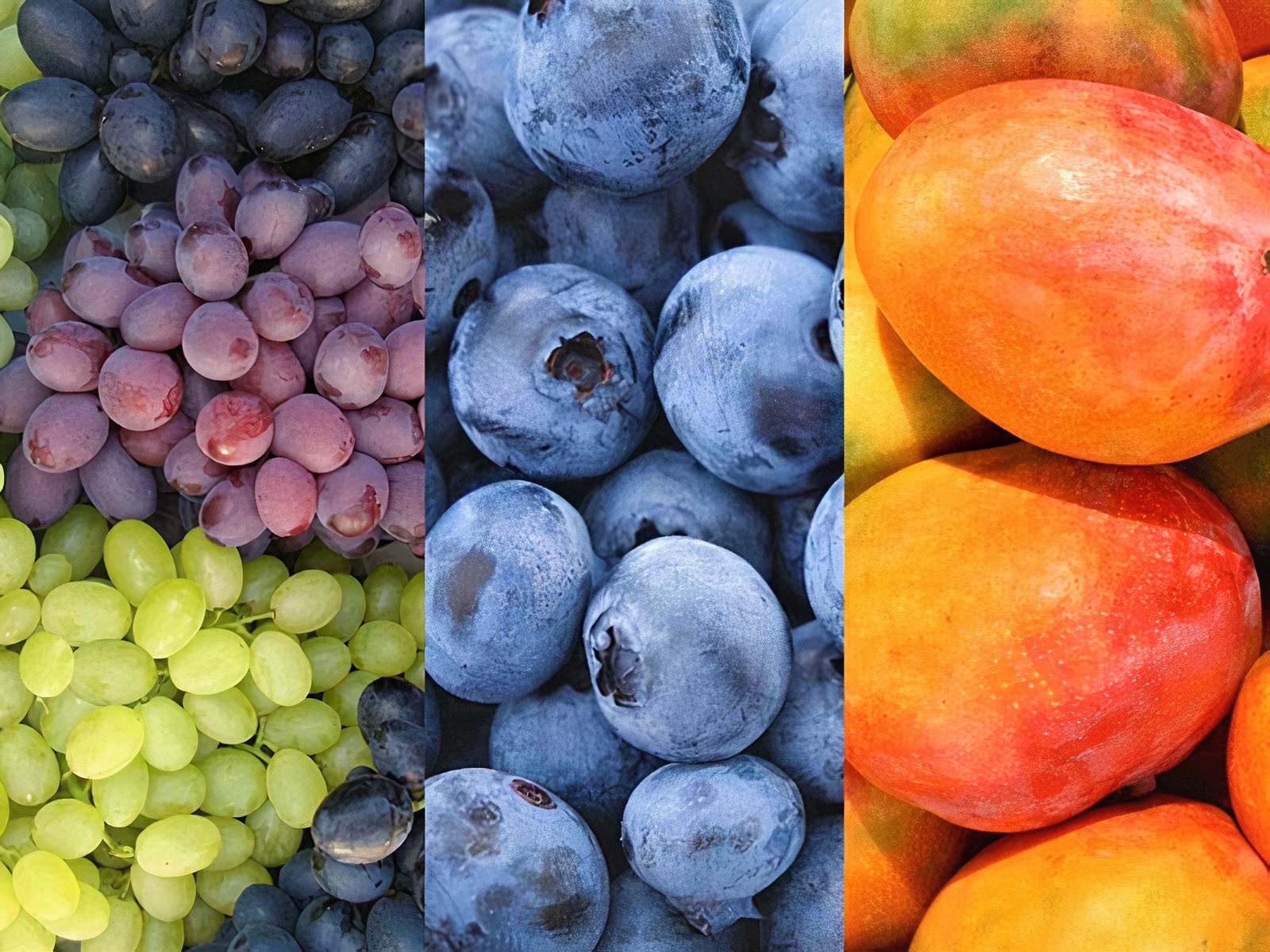 EXPORTACIONES AGRÍCOLAS CRECIERON UN 5.3% DURANTE LOS PRIMEROS DIEZ MESES DEL AÑO