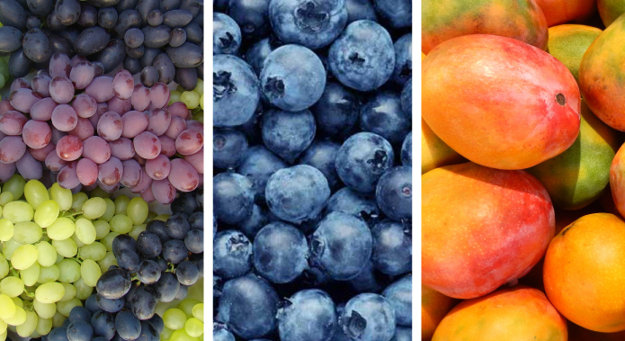 DESDE 2008, LAS EXPORTACIONES DE SUPERFOODS HAN CRECIDO CADA AÑO, EN PROMEDIO, UN 13.6%