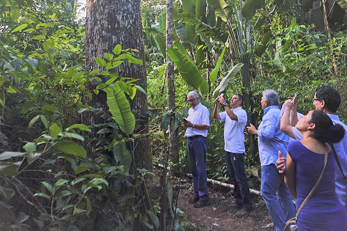 EXPORTACIONES DEL SECTOR FORESTAL TIENEN CONSIDERABLES OPORTUNIDADES PARA CRECER