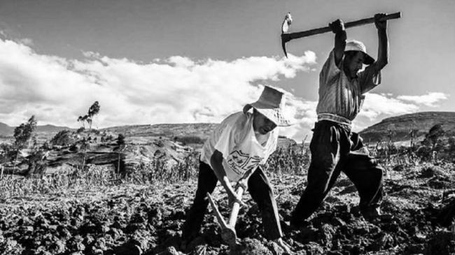SEGUNDA REFORMA AGRARIA: ¿ES LO QUE REALMENTE EL AGRICULTOR NECESITA?