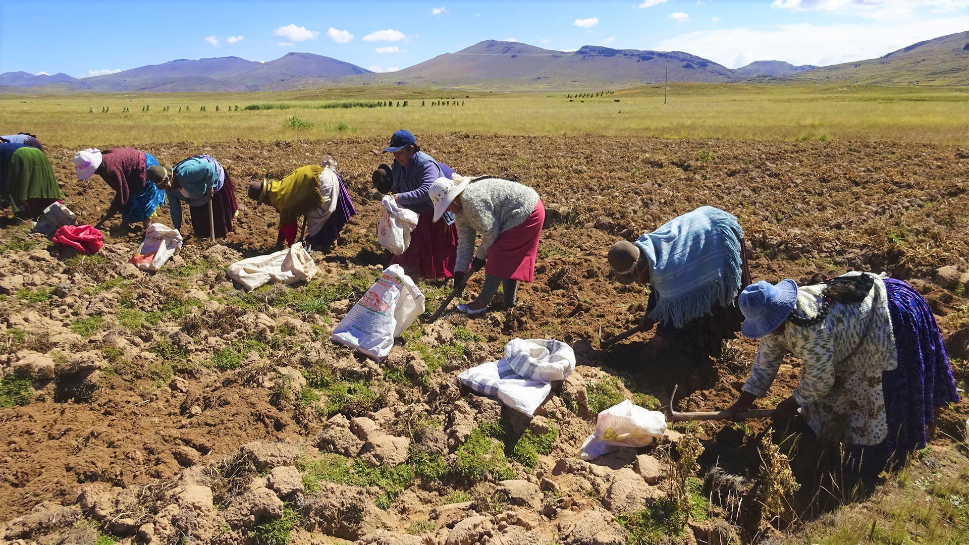 SEGUNDA REFORMA AGRARIA: ¿Y LAS MEJORAS EN LA CAPACIDAD DE CONTRATACIÓN FORMAL?