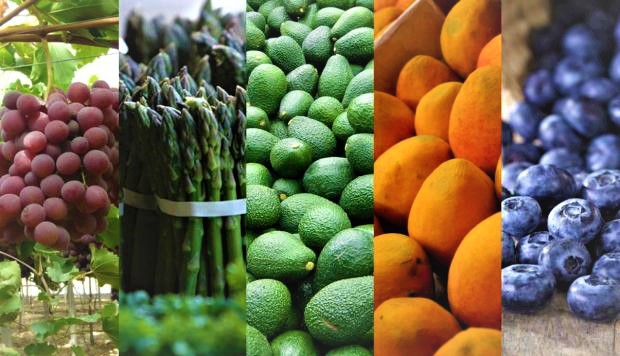 AGROEXPORTACIONES SUPERAN NIVELES PREPANDEMIA EN ENERO-AGOSTO, PERO MANTENER ESTE DESEMPEÑO REQUERIRÁ SEGUIR APOSTANDO POR EL SECTOR