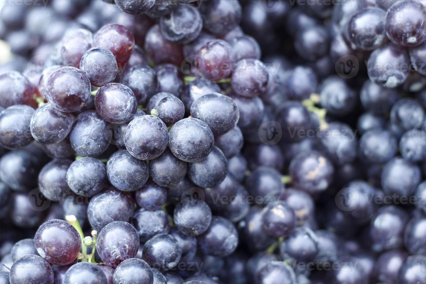 AGROEXPORTACIONES NO TRADICIONALES CRECIERON UN 18.1% EN 2021