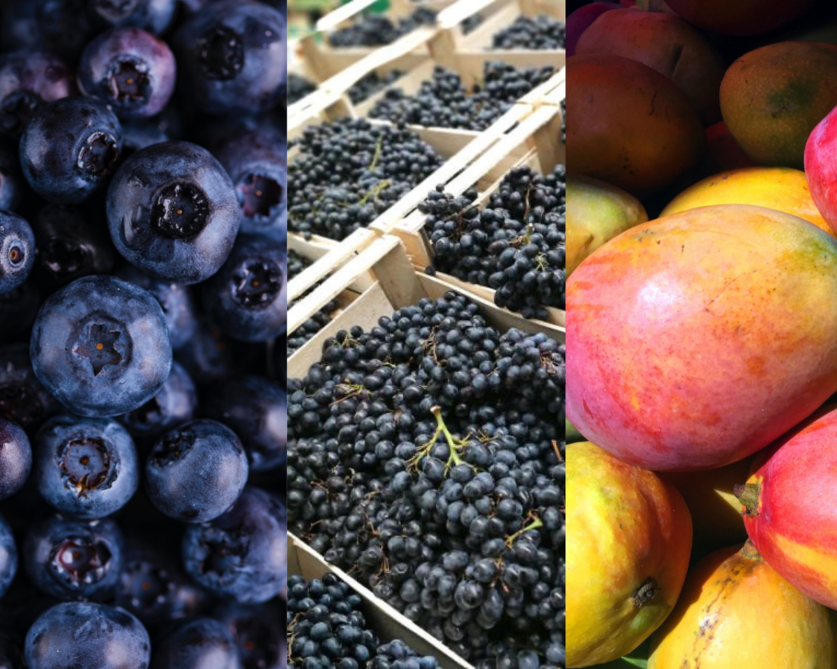 AGROEXPORTACIONES CRECIERON UN 14% EN LOS PRIMEROS 5 MESES DEL AÑO