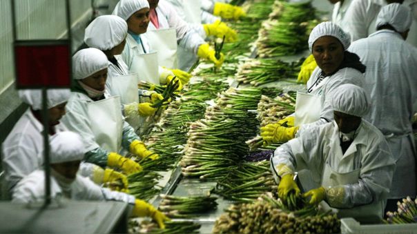 ¿EL FRENO A LA AGROEXPORTACIÓN? DESAFÍOS Y OPORTUNIDADES