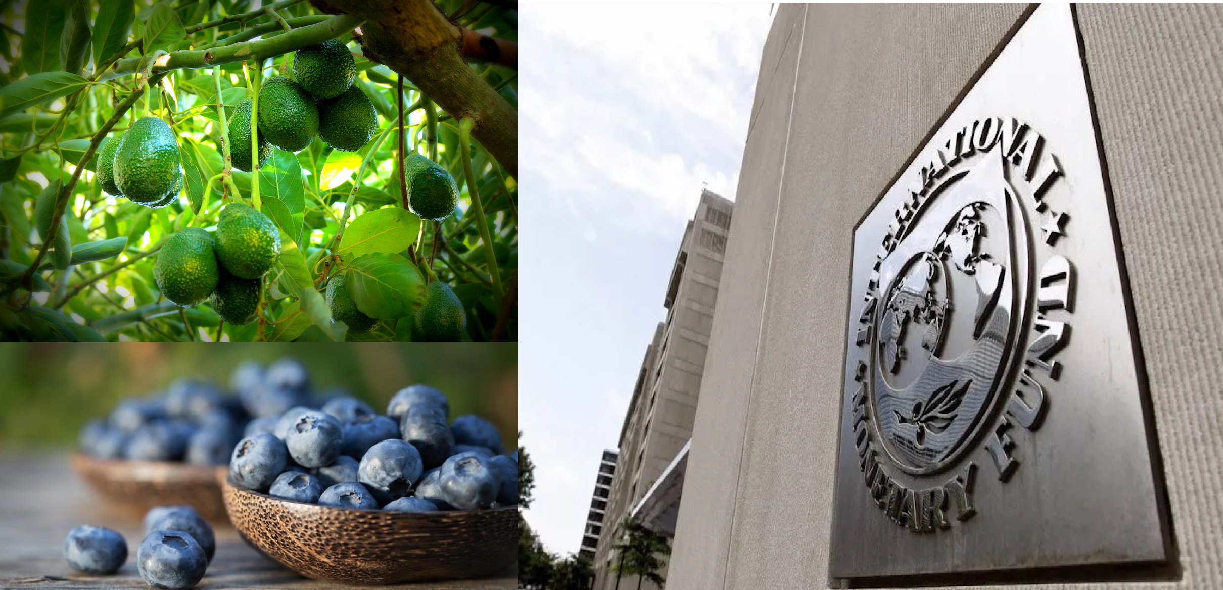 LAS EXPORTACIONES PERUANAS Y LA RECESIÓN MUNDIAL: ¿CUÁLES SERÍAN NUESTROS PRODUCTOS MÁS AFECTADOS?