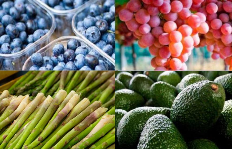 AGROEXPORTACIONES CRECIERON UN 11% EN EL PERÍODO INTERANUAL ENERO-SETIEMBRE