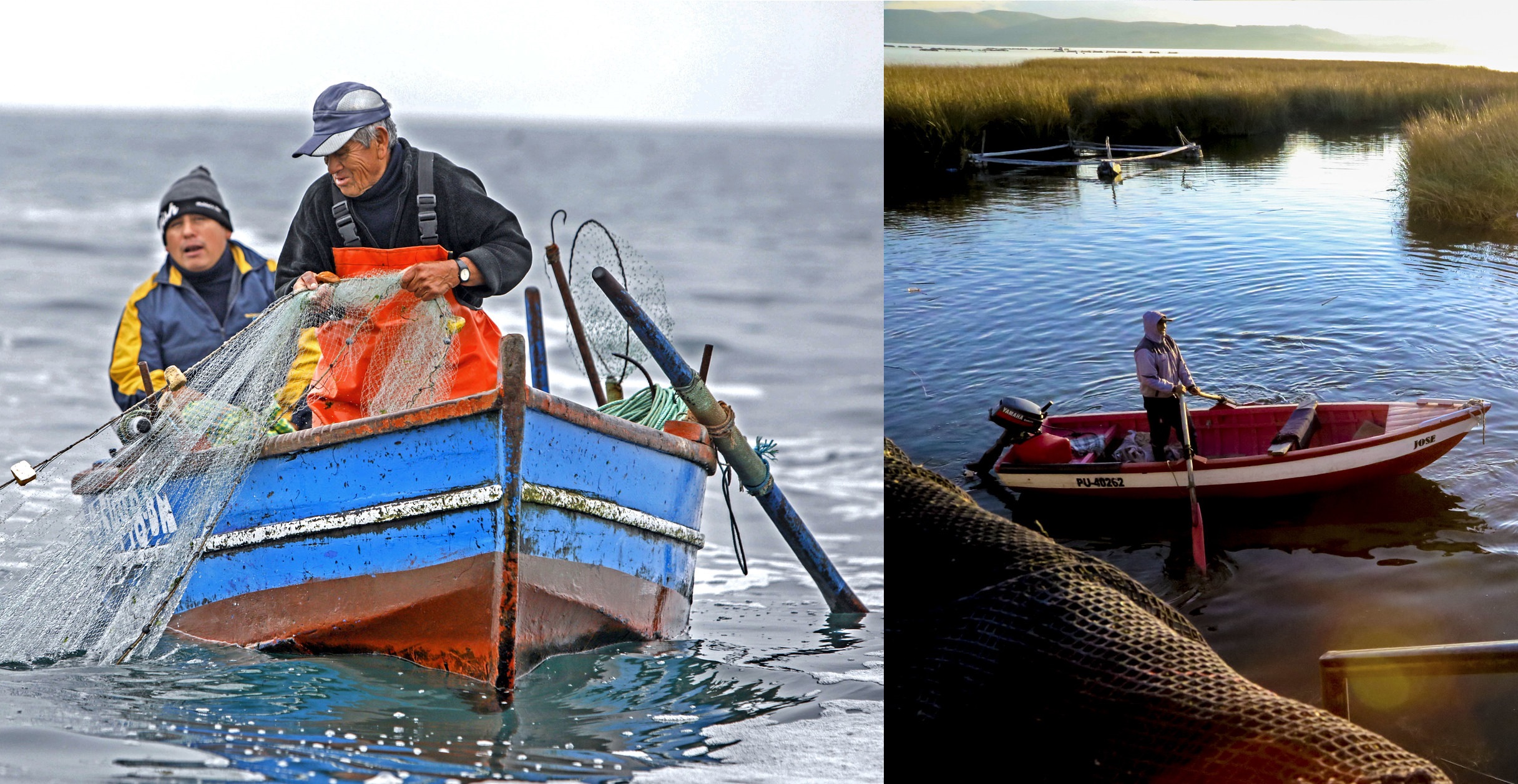 LAS EXPORTACIONES DE LOS SECTORES PESCA Y ACUÍCOLA CRECIERON UN 0.5% Y UN 15%, RESPECTIVAMENTE