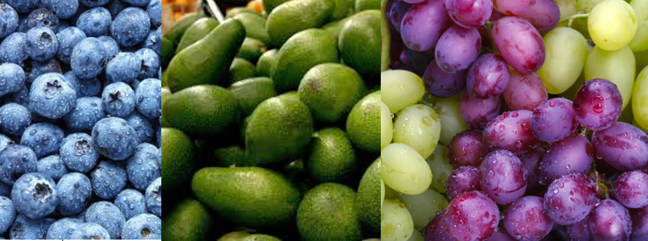 AGROEXPORTACIONES CRECIERON UN 10.4% A OCTUBRE DE 2022