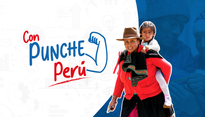 PLAN CON PUNCHE PERÚ: ¿HACIA DÓNDE APUNTA?