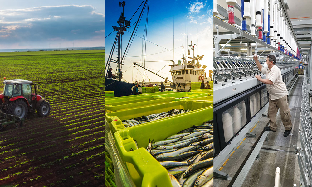 EL CONGRESO ATENTA CONTRA LAS EXPORTACIONES NO TRADICIONALES