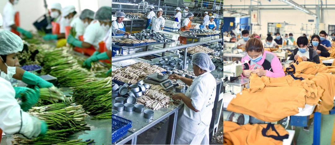 POPULISMO EN EL CONGRESO: UN GOLPE MÁS A LOS TRABAJADORES*