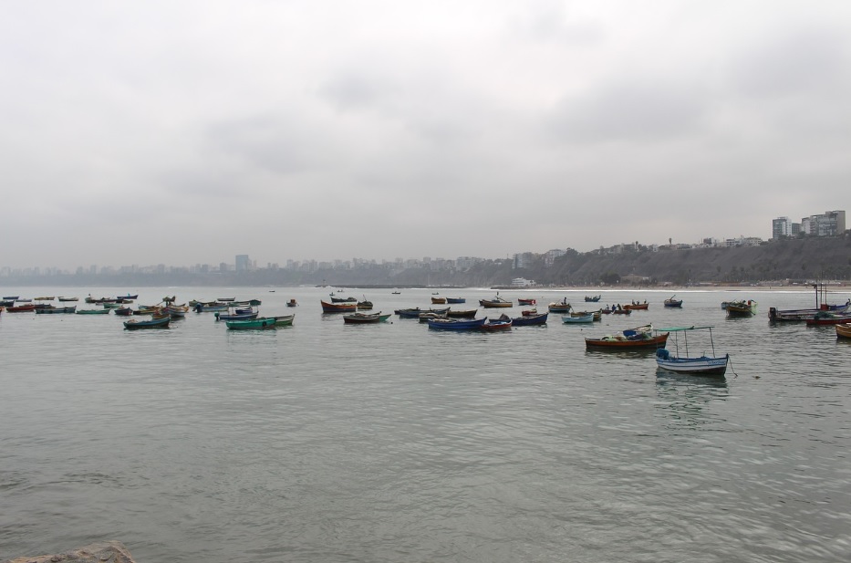 ¿PODEMOS HABLAR DE SOBREEXPLOTACIÓN EN LA PESQUERÍA?