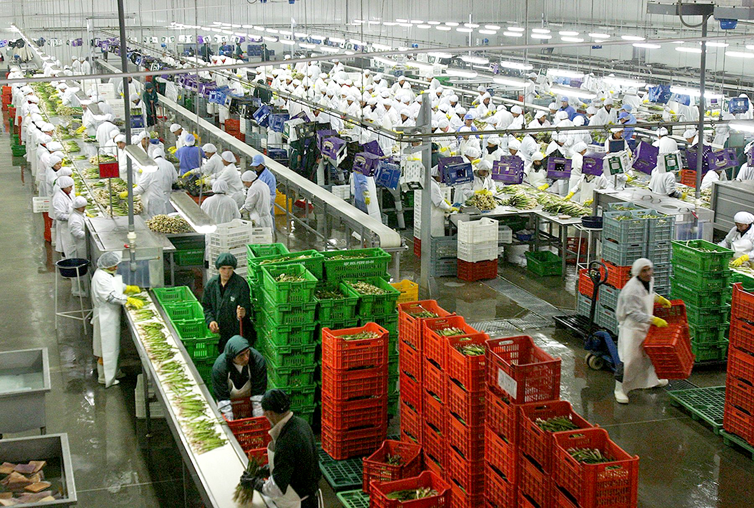 AGROEXPORTACIONES NO TRADICIONALES CRECIERON UN 12.6% A FEBRERO DE 2023