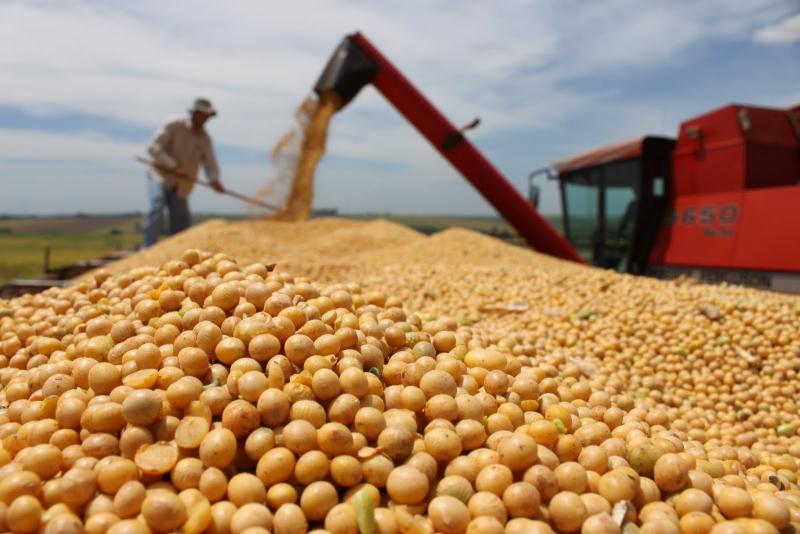 IMPORTACIONES DE TORTAS DE SOYA CRECIERON UN 19% EN LOS PRIMEROS CUATROS MESES DE 2023