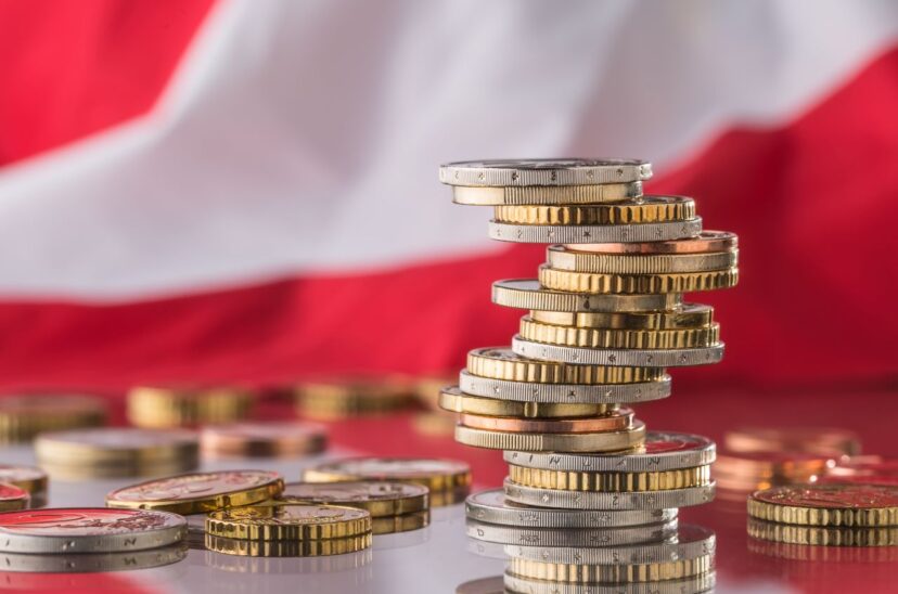 EXPECTATIVAS Y DECISIONES*