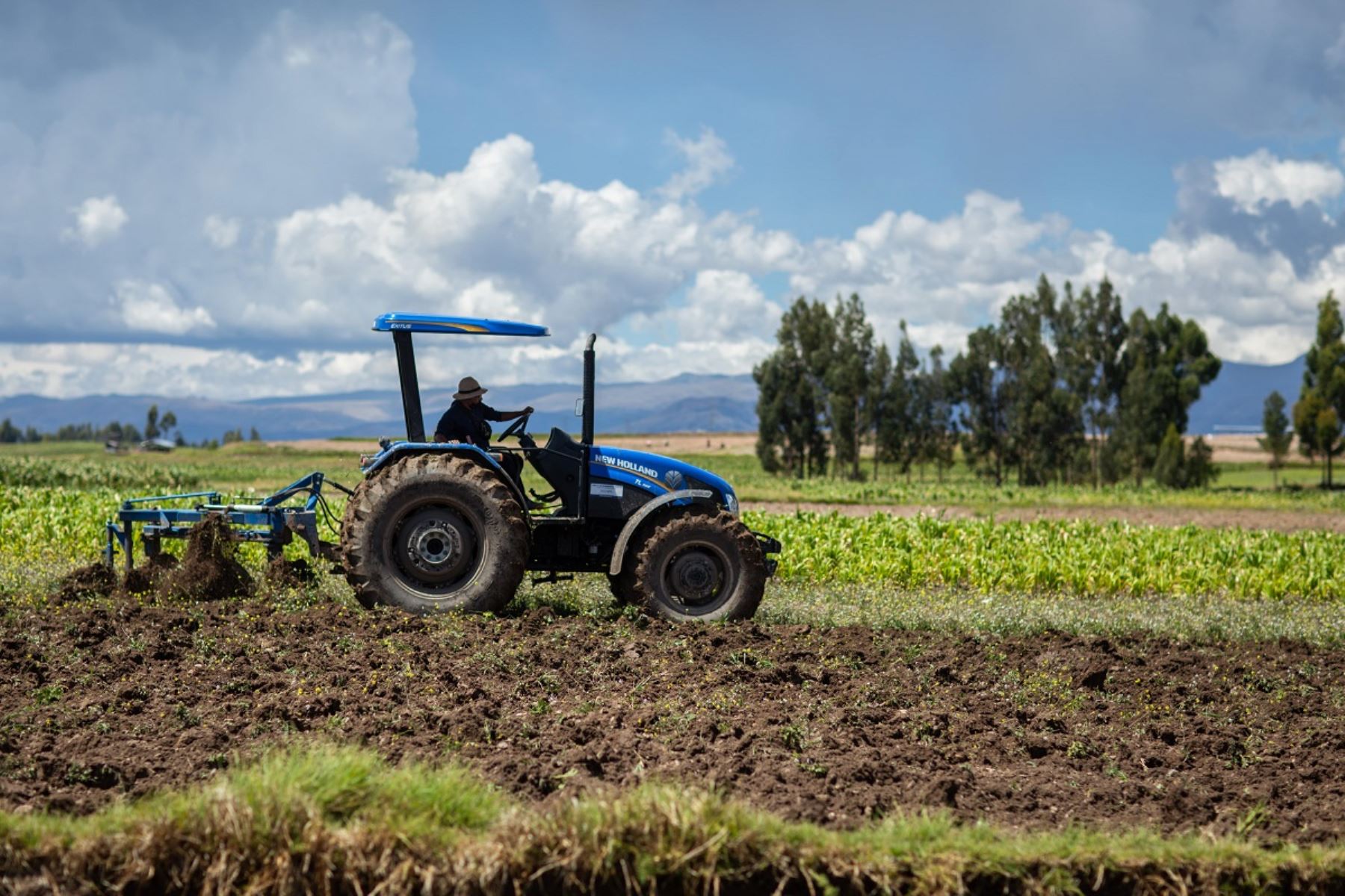 PRODUCCIÓN AGROPECUARIA RETROCEDIÓ UN 14.2% EN ABRIL