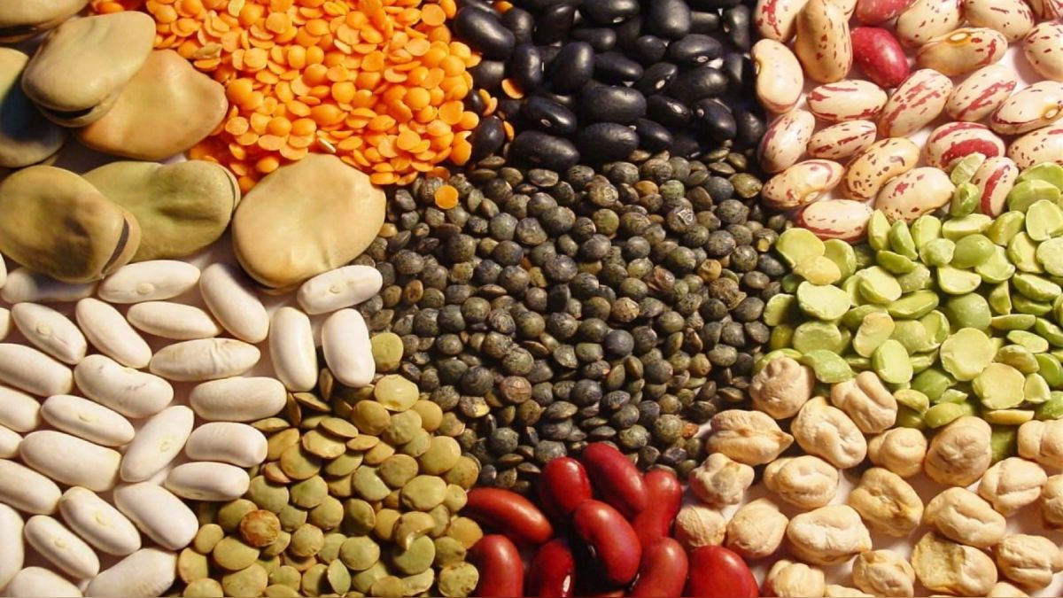 EXPORTACIONES DE MENESTRAS CRECIERON UN 5.5% ENTRE ENERO Y MAYO DE 2023