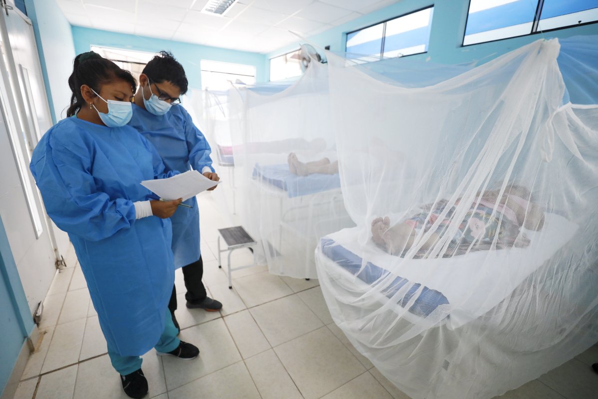 CRISIS DE DENGUE EN EL PERÚ: UN ANÁLISIS DEL PRESUPUESTO