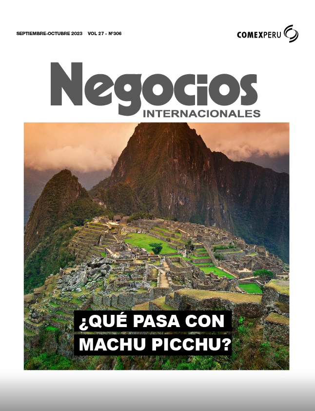 Negocios Internacionales 306