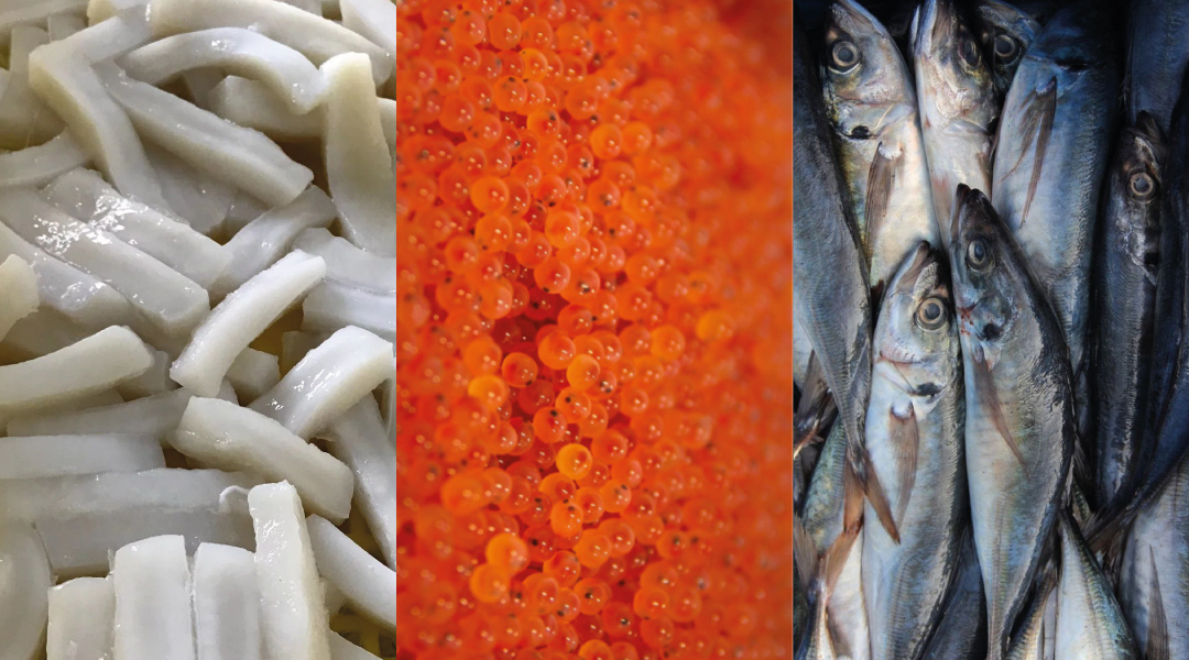 LAS EXPORTACIONES DE PESCA NO TRADICIONAL CONTINÚAN DANDO BATALLA