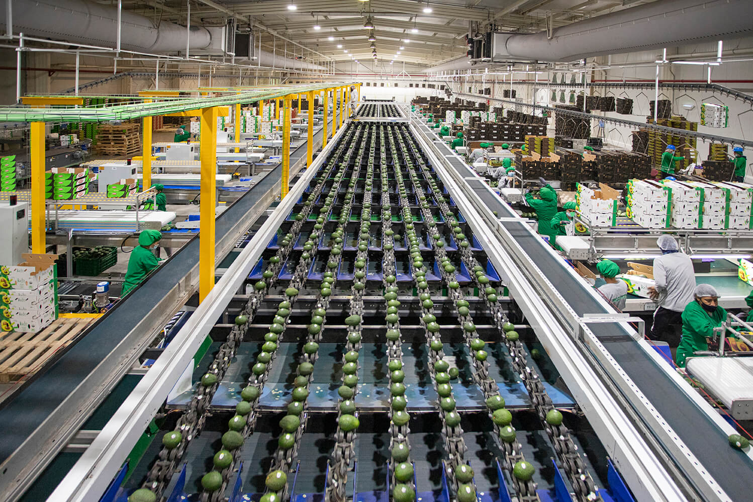 “LEY DE INDUSTRIAS”: DE VUELTA AL PASADO