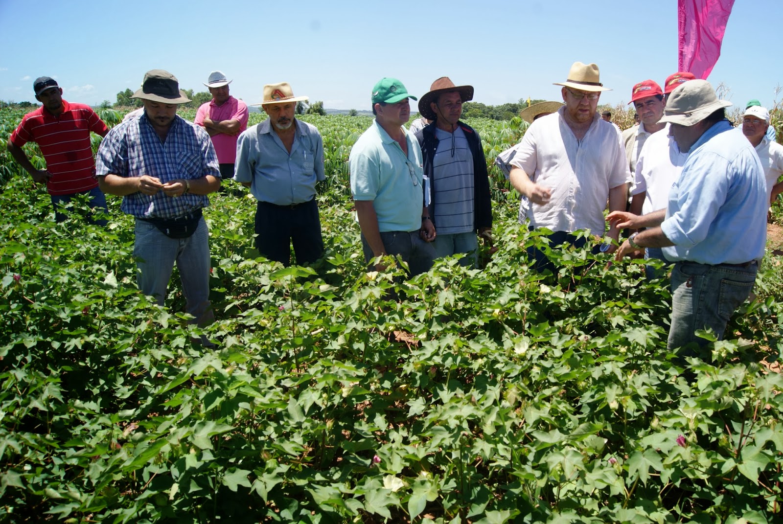 CAMPAÑA AGRÍCOLA 2023-2024: PRODUCCIÓN Y SIEMBRAS SE CONTRAEN EN EL PRIMER MES