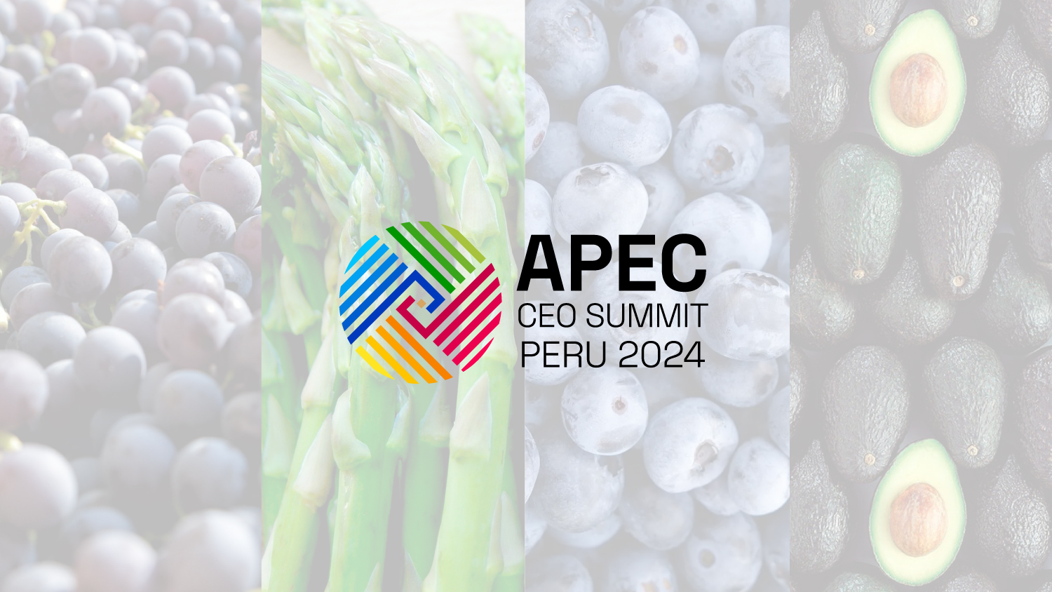 AGROEXPORTACIONES A APEC CRECIERON UN 12.5% PROMEDIO ANUAL DESDE 1998